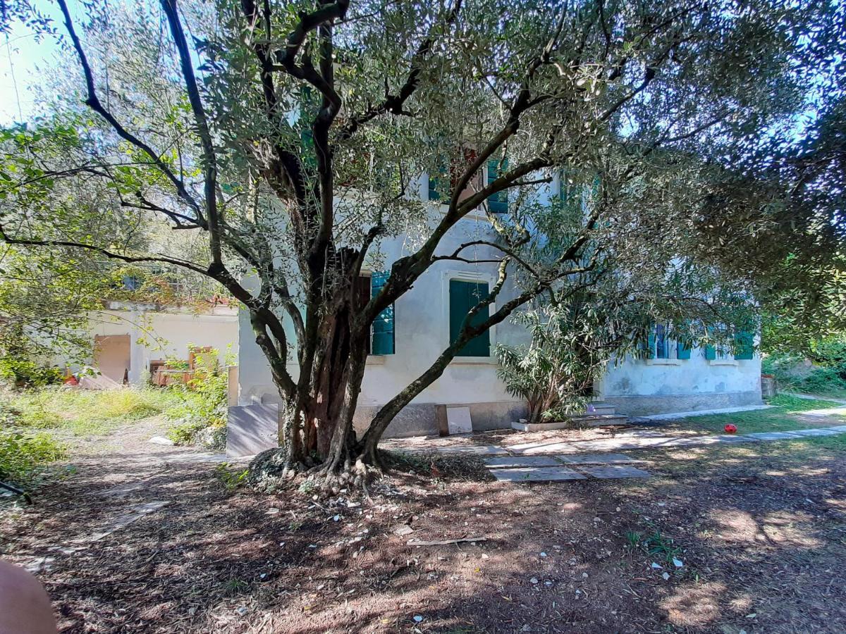 Вілла Ca Del Vajo Valpolicella House Неґрар Екстер'єр фото
